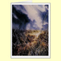 Into the Field cards by KKEAN Into the Field cards
