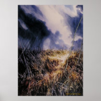 Into the Field Posters