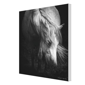 Into the Light - Dartmoor Pony MEDIUM wrappedcanvas