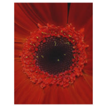 Into The little Things That Count Letterhead Design