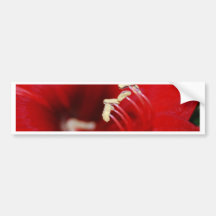 Into The Macro Bumper Stickers
