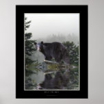 INTO THE MIST Bear Poster
