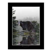 INTO THE MIST Bear Poster posters