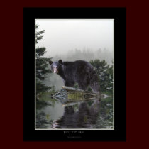 INTO THE MIST Bear Poster posters by RavenSpiritPrints INTO THE MIST Bear Poster posters