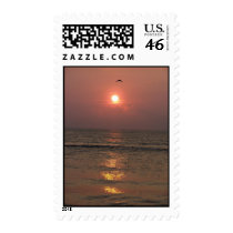 Into the Sea postage