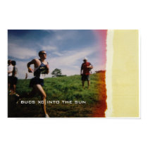 Into The Sun posters