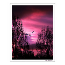 into the sunset posters