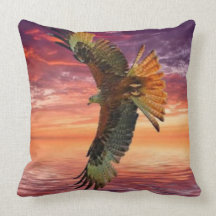 Into the Sunset we fly Pillow
