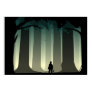 Into the woods