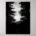 Into the woods posters