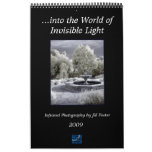 ...into the World of Invisible Light Calendars