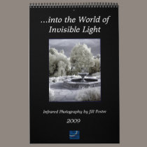 ...into the World of Invisible Light calendars