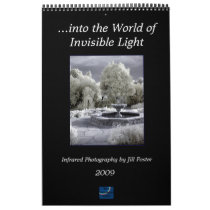 ...into the World of Invisible Light calendars by basilfox ...into the World of Invisible Light calendars