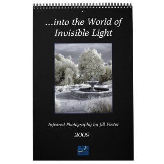...into the World of Invisible Light calendar