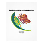 Intracellular Housecleaning Inside (Endomembrane) Letterhead Design