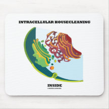 Intracellular Housecleaning Inside Endomembrane Mouse Pads