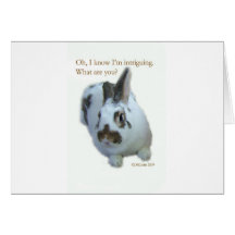 Intrigue Bunny Greeting Cards