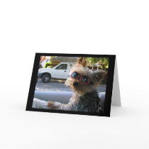 Introducing:JACK! cards by amberharrison Introducing:JACK! cards
