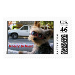 Introducing: Jack Postage