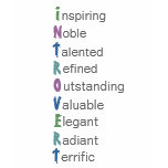 Introvert -- Qualities and Virtues t-shirts