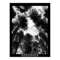 Intuition Poster posters