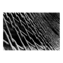 Intwined posters