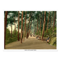 Invalids' walk, Bournemouth, England posters