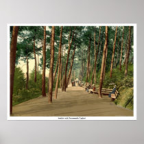 Invalids' walk, Bournemouth, England Posters