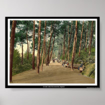 Invalids' walk, Bournemouth, England Poster
