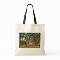 Invalids' walk, Bournemouth, England vintage Photo Canvas Bag