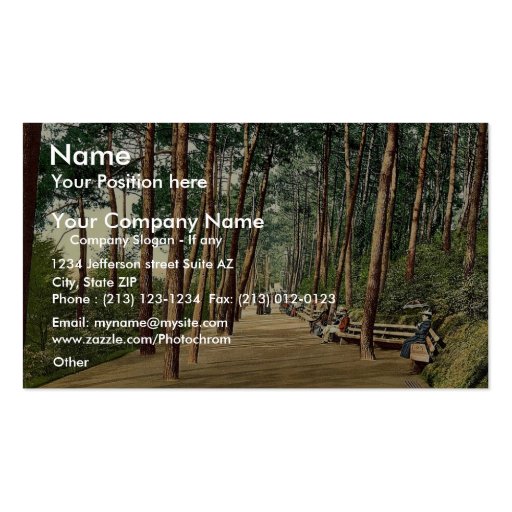 Invalids' walk, Bournemouth, England vintage Photo Business Card Template (front side)