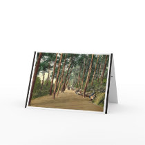 Invalids' walk, Bournemouth, England vintage Photo Greeting Cards