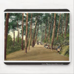 Invalids' walk, Bournemouth, England vintage Photo mousepads