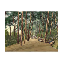 Invalids' walk, Bournemouth, England vintage Photo Post Card
