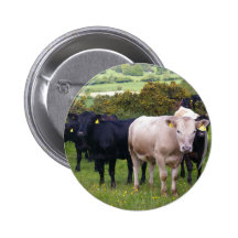 Invasion Buttons