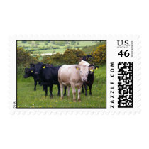 Invasion Postage Stamp