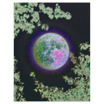 Invert Moon Custom Flyer
