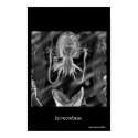 Invertebrae posters by moore_reppion Invertebrae posters