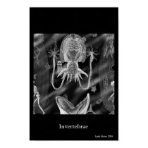 Invertebrae posters