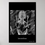 Invertebrae posters