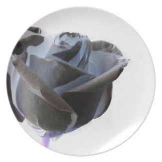 Inverted Black and White Rose Photo plate