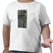 Inverted Village and Home of the Fairies View Tees