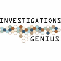 Investigations Genius photo sculptures