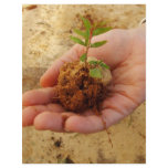 Investing for Growth Full Color Flyer