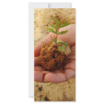 Investing for Growth Rack Card Template