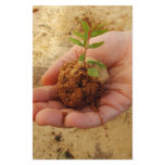 Investing for Growth Customized Stationery