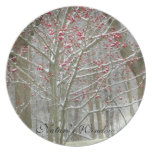 Invierno de la ventana de la naturaleza/confusión  platos