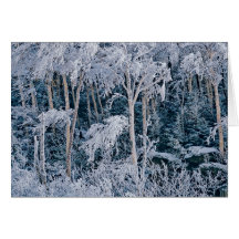Invierno verde de la montaña felicitaciones