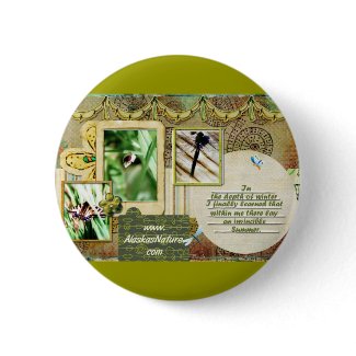 Invincible Summer button