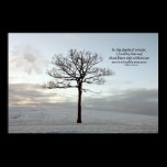 Invincible Summer - Light in the Dark Winter posters
